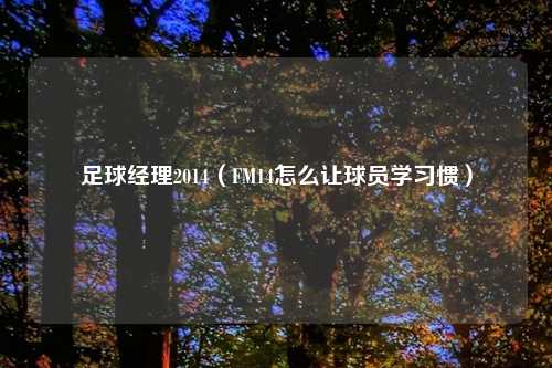 足球经理2014（FM14怎么让球员学习惯）
