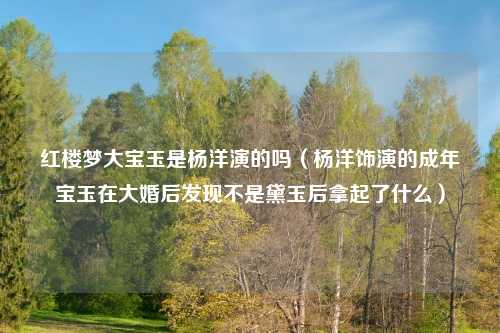 红楼梦大宝玉是杨洋演的吗（杨洋饰演的成年宝玉在大婚后发现不是黛玉后拿起了什么）