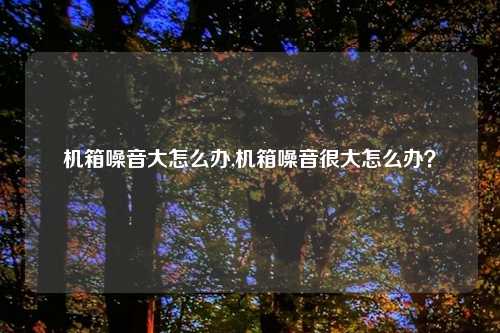 机箱噪音大怎么办,机箱噪音很大怎么办？