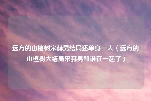 远方的山楂树宋赫男结局还单身一人（远方的山楂树大结局宋赫男和谁在一起了）