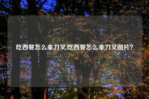 吃西餐怎么拿刀叉,吃西餐怎么拿刀叉图片？