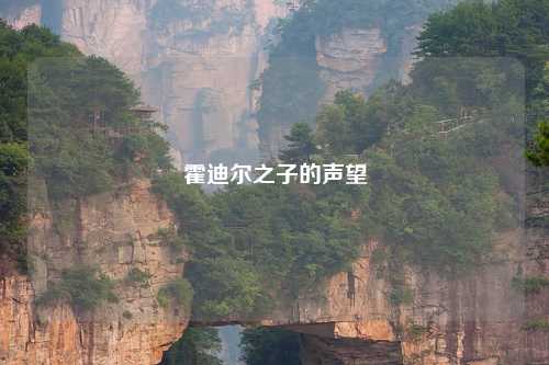 霍迪尔之子的声望