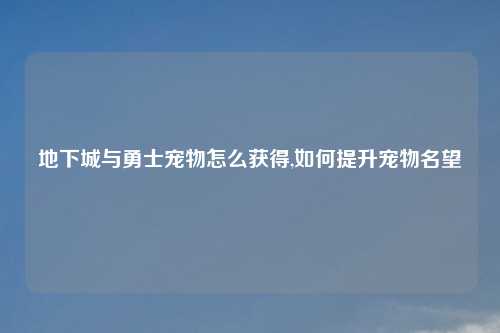 地下城与勇士宠物怎么获得,如何提升宠物名望