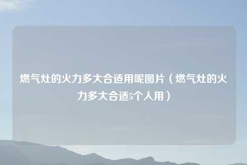 燃气灶的火力多大合适用呢图片（燃气灶的火力多大合适5个人用）