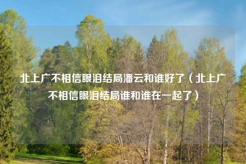 北上广不相信眼泪结局潘云和谁好了（北上广不相信眼泪结局谁和谁在一起了）