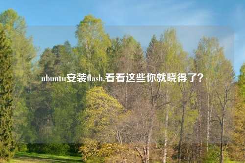 ubuntu安装flash,看看这些你就晓得了？