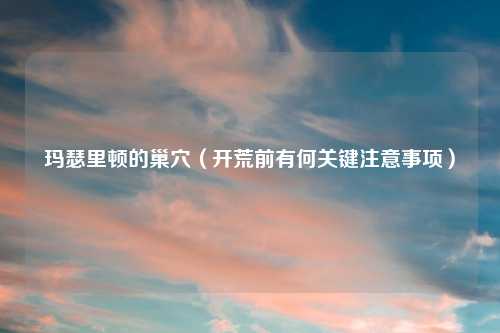 玛瑟里顿的巢穴（开荒前有何关键注意事项）