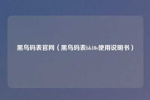 黑鸟码表官网（黑鸟码表bb10s使用说明书）