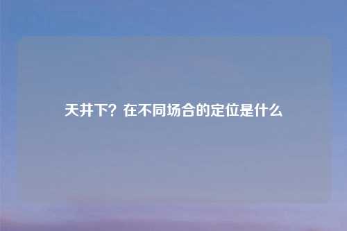 天井下？在不同场合的定位是什么