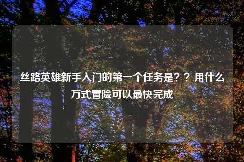 丝路英雄新手入门的第一个任务是？？用什么方式冒险可以最快完成