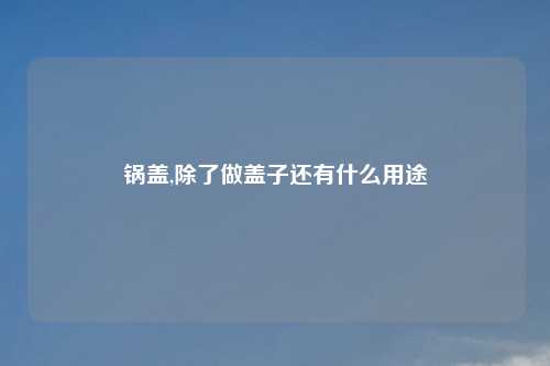 锅盖,除了做盖子还有什么用途