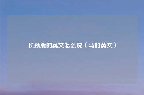 长颈鹿的英文怎么说（马的英文）