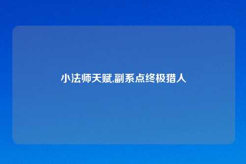 小法师天赋,副系点终极猎人