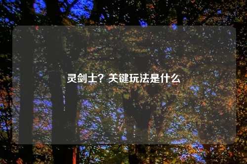 灵剑士？关键玩法是什么