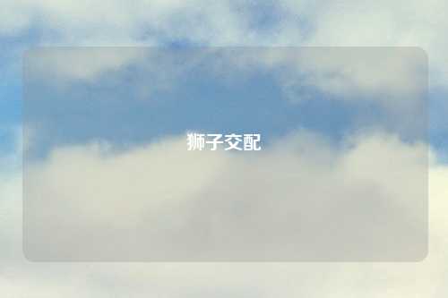 狮子交配
