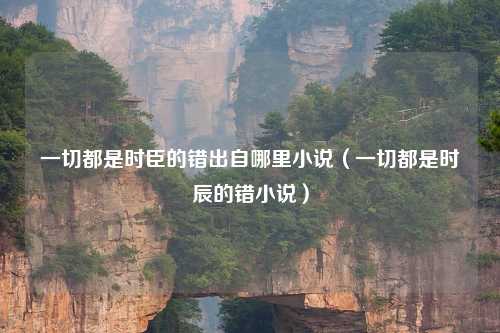 一切都是时臣的错出自哪里小说（一切都是时辰的错小说）