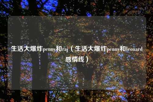 生活大爆炸penny和raj（生活大爆炸penny和leonard感情线）