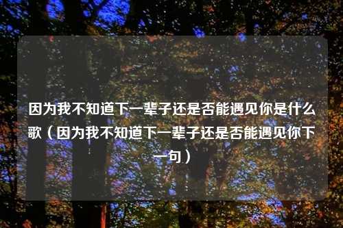 因为我不知道下一辈子还是否能遇见你是什么歌（因为我不知道下一辈子还是否能遇见你下一句）