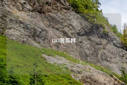 1313苦瓜网