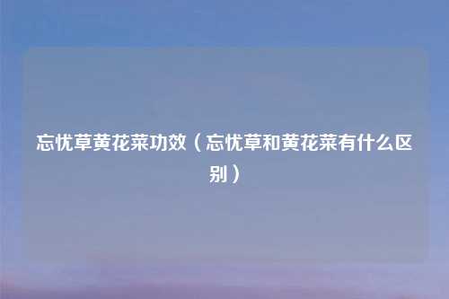 忘忧草黄花菜功效（忘忧草和黄花菜有什么区别）