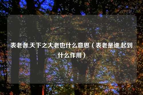 表老者,天下之大老也什么意思（表老是谁,起到什么作用）
