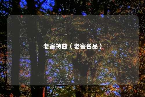 老窖特曲（老窖名品）