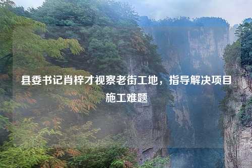县委书记肖梓才视察老街工地，指导解决项目施工难题