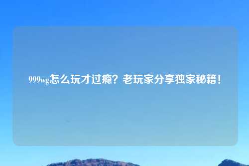 999wg怎么玩才过瘾？老玩家分享独家秘籍！