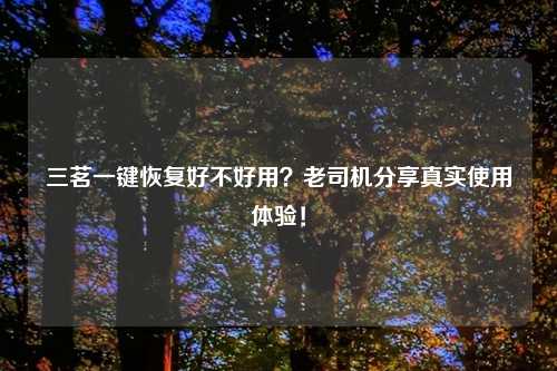 三茗一键恢复好不好用？老司机分享真实使用体验！