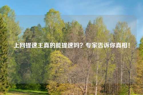 上网提速王真的能提速吗？专家告诉你真相！