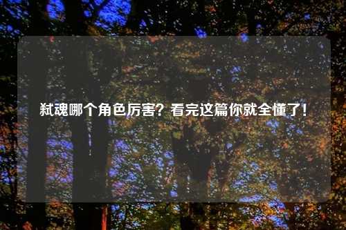 弑魂哪个角色厉害？看完这篇你就全懂了！