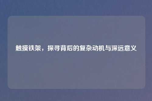 触摸铁架，探寻背后的复杂动机与深远意义