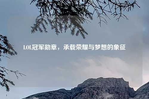 LOL冠军勋章，承载荣耀与梦想的象征
