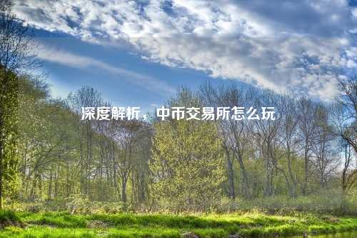 深度解析，中币交易所怎么玩