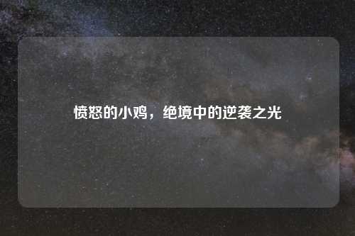 愤怒的小鸡，绝境中的逆袭之光