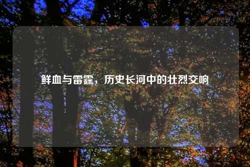 鲜血与雷霆，历史长河中的壮烈交响