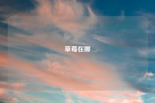 草莓在哪