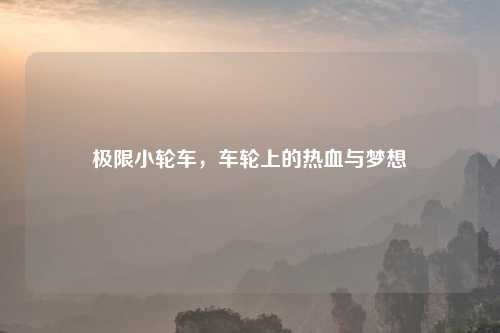 极限小轮车，车轮上的热血与梦想