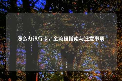 怎么办银行卡，全流程指南与注意事项