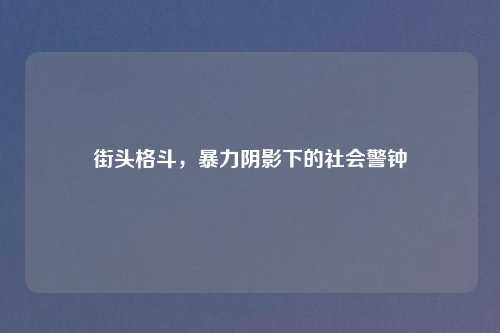 街头格斗，暴力阴影下的社会警钟