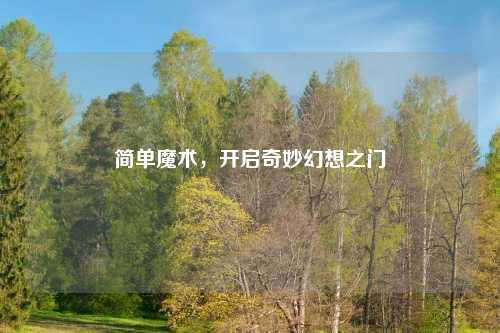 简单魔术，开启奇妙幻想之门