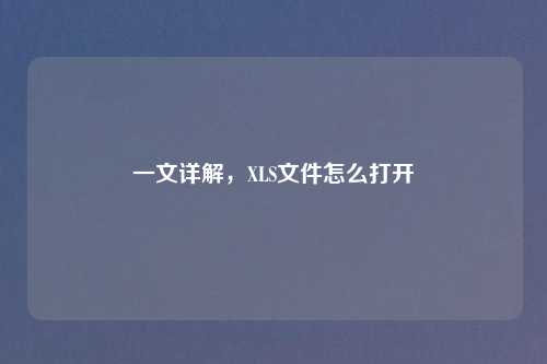一文详解，XLS文件怎么打开